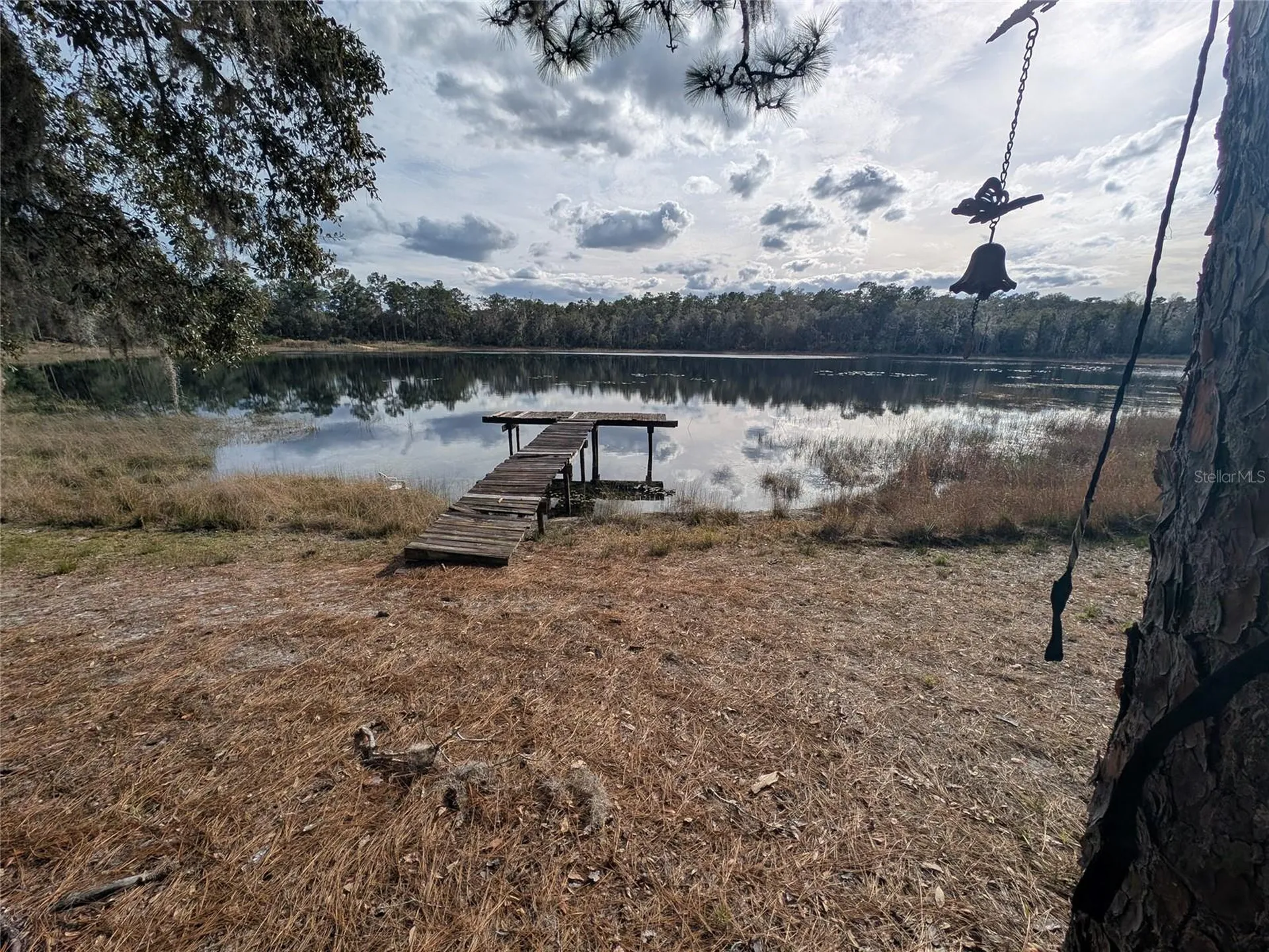 14730 SE 61st Street Road Ocklawaha FL 32179