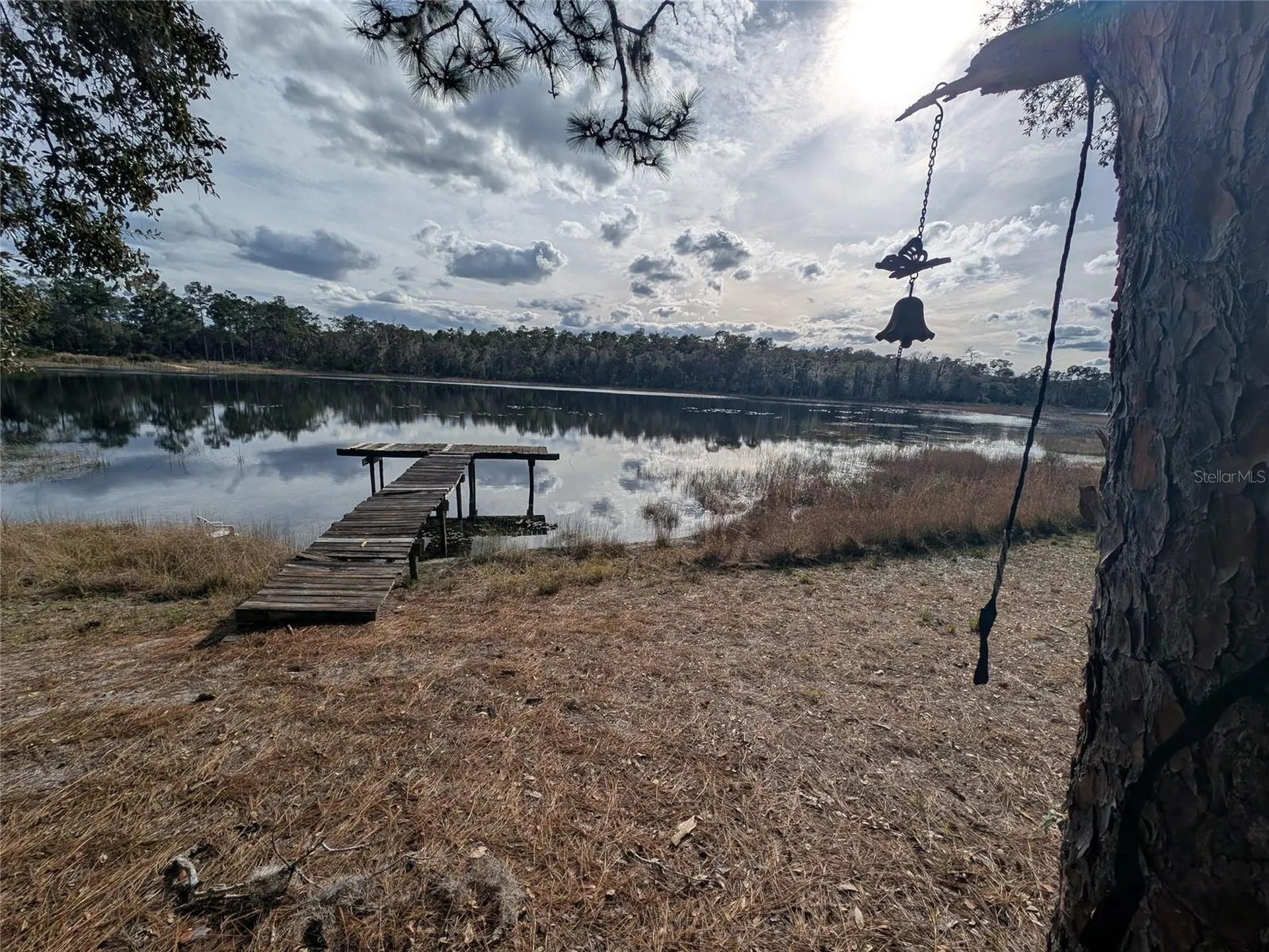 14730 SE 61st Street Road Ocklawaha FL 32179
