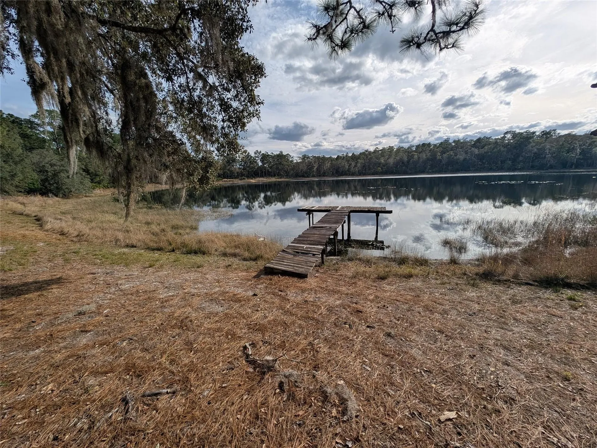 14730 SE 61st Street Road Ocklawaha FL 32179