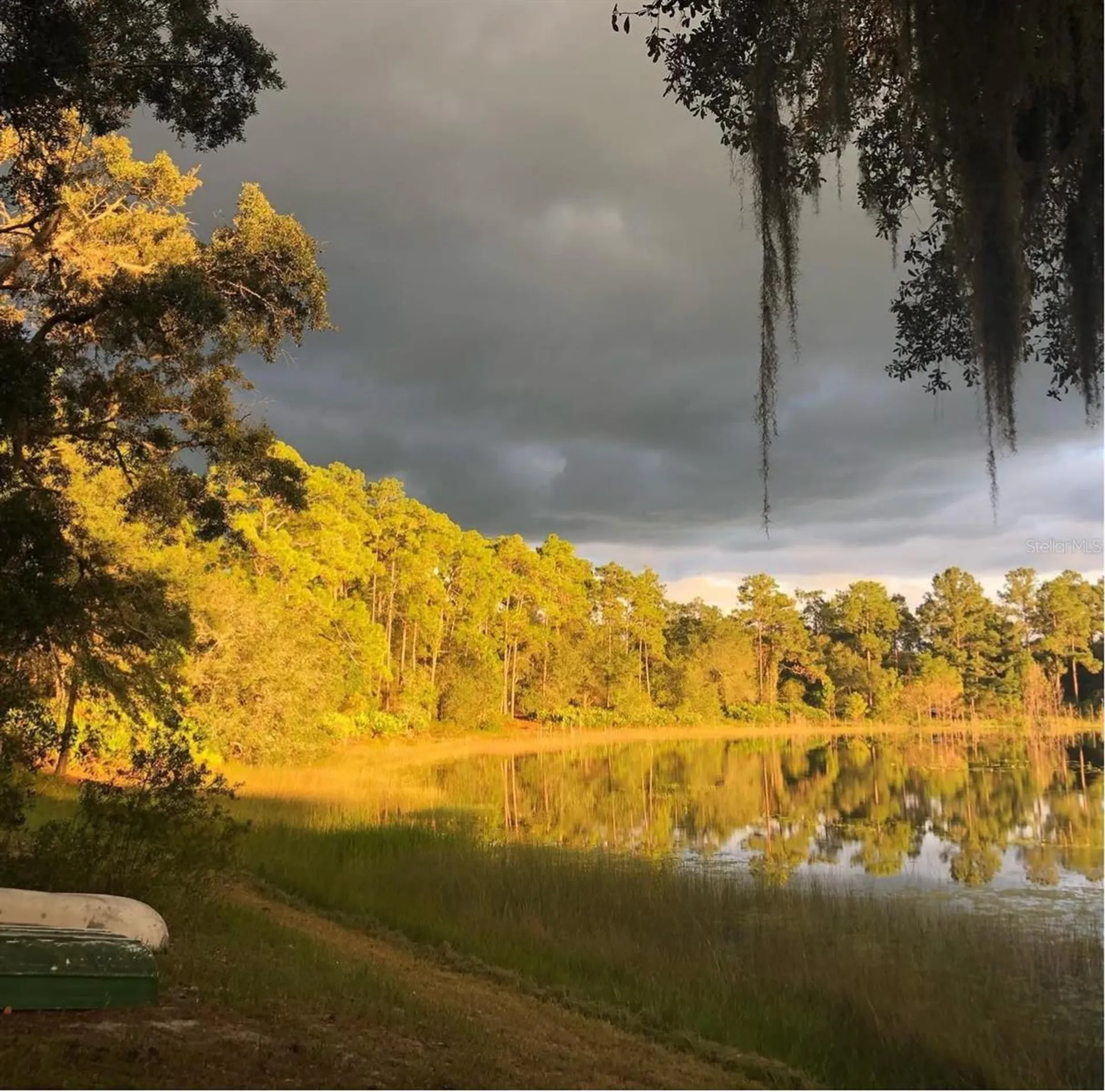14730 SE 61st Street Road Ocklawaha FL 32179