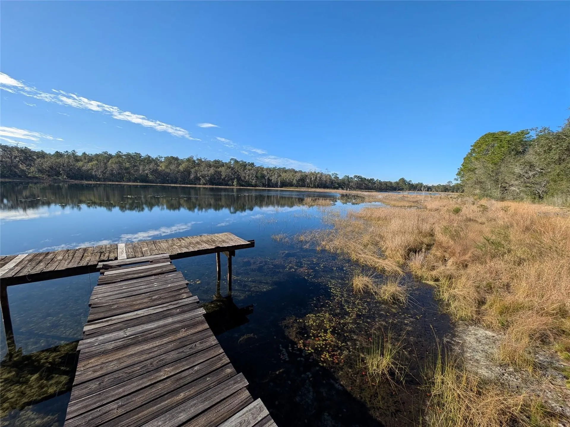 14730 SE 61st Street Road Ocklawaha FL 32179