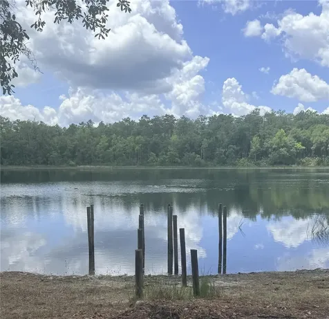 14730 SE 61st Street Road Ocklawaha FL 32179