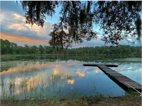 14730 SE 61st Street Road Ocklawaha FL 32179