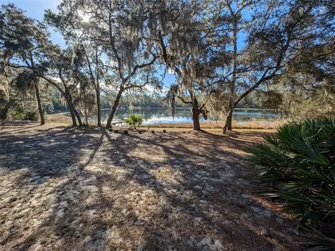14730 SE 61st Street Road Ocklawaha FL 32179