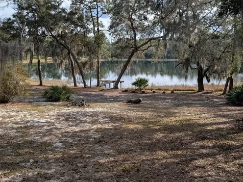 14730 SE 61st Street Road Ocklawaha FL 32179