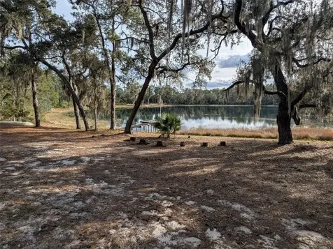 14730 SE 61st Street Road Ocklawaha FL 32179