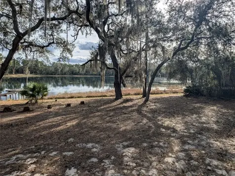 14730 SE 61st Street Road Ocklawaha FL 32179