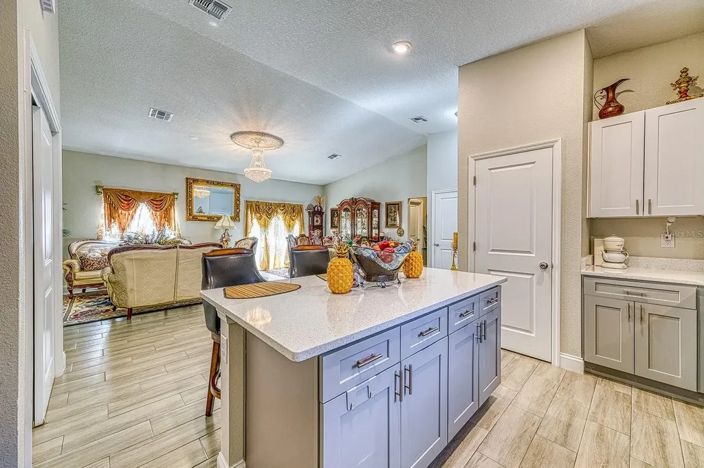 229 Starling Court Kissimmee FL 34759