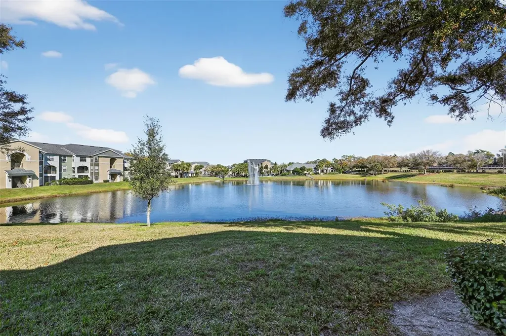 1438 Millstream Lane Dunedin FL 34698