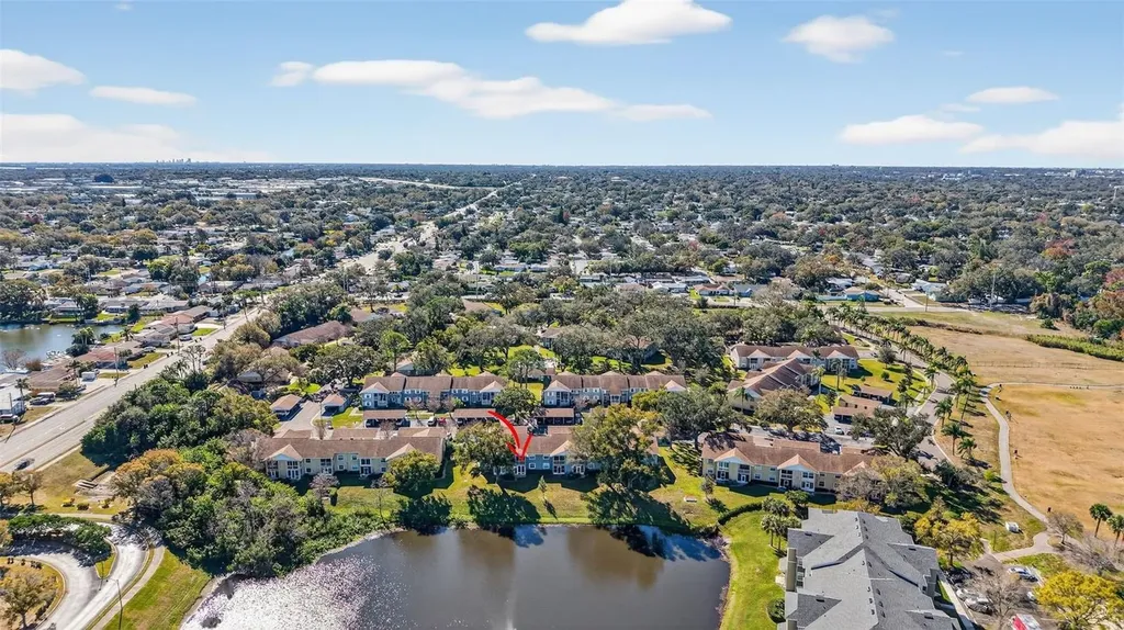 1438 Millstream Lane Dunedin FL 34698