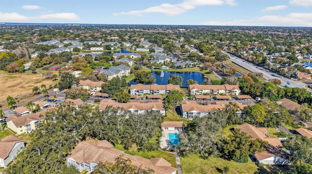 1438 Millstream Lane Dunedin FL 34698