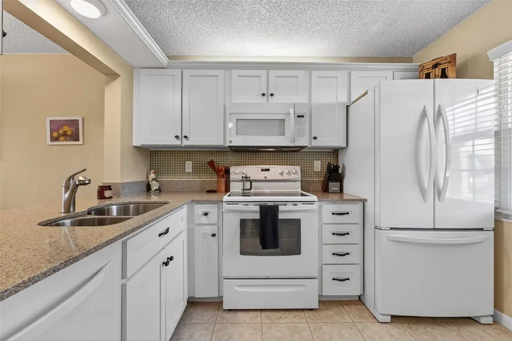 1438 Millstream Lane Dunedin FL 34698