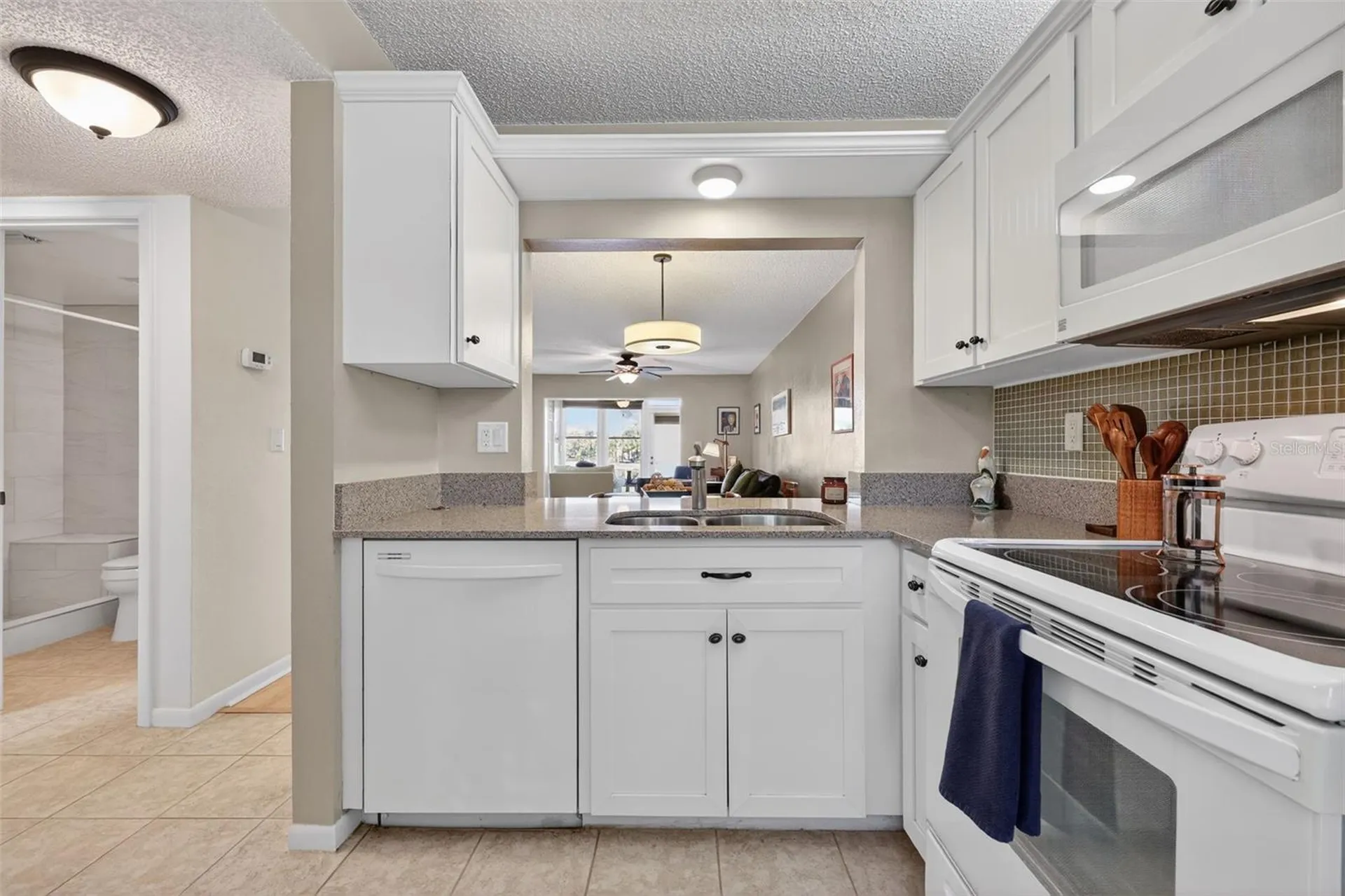 1438 Millstream Lane Dunedin FL 34698