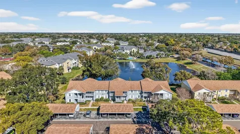 1438 Millstream Lane Dunedin FL 34698