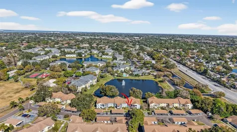 1438 Millstream Lane Dunedin FL 34698