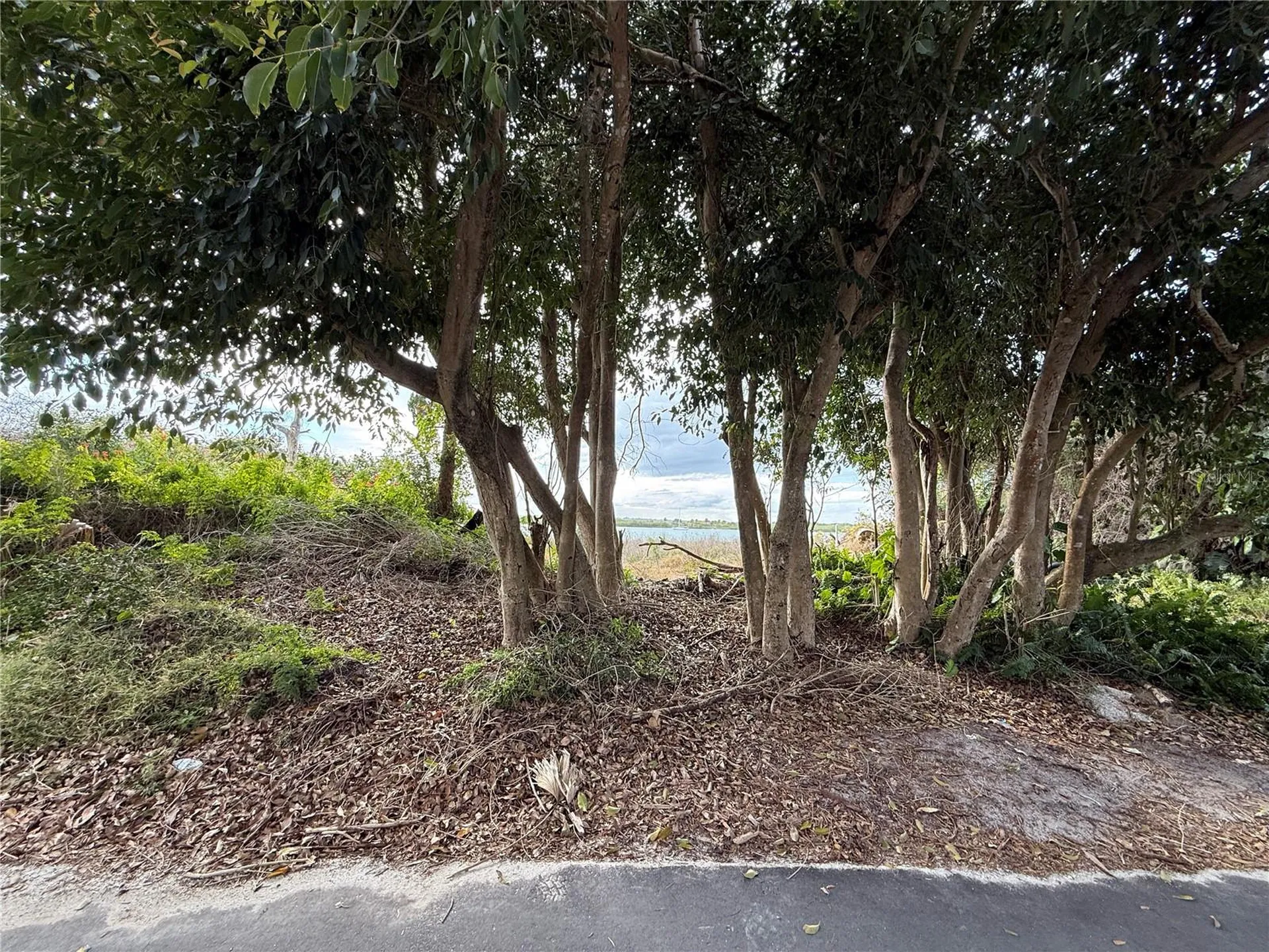 1602 N Indian River Road New Smyrna Beach FL 32169