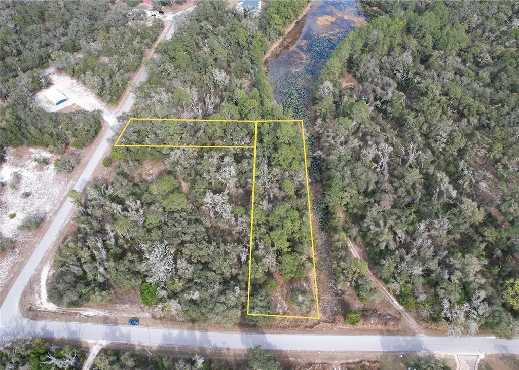 Sharon Webster FL 33597