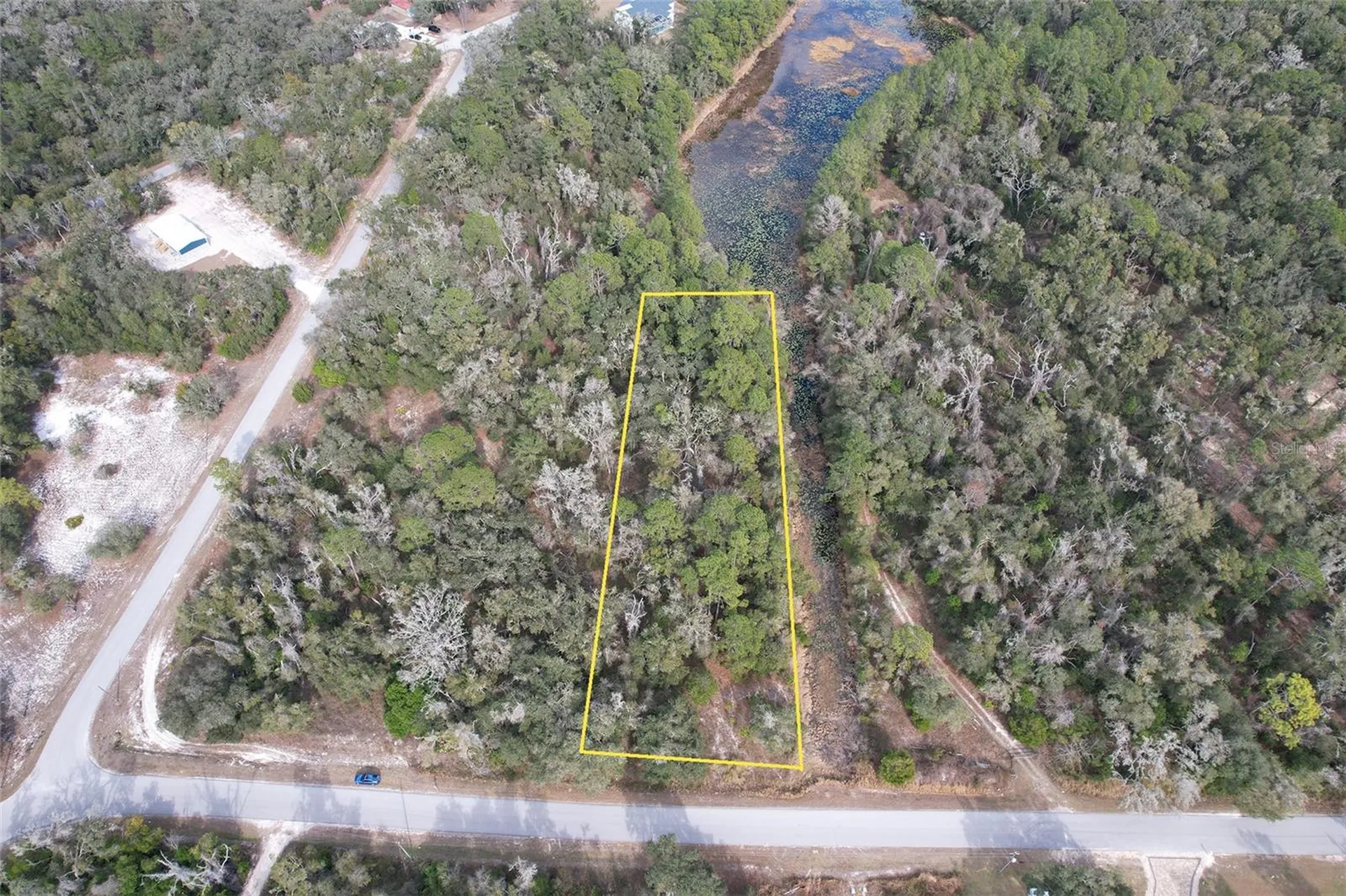 Sharon Webster FL 33597