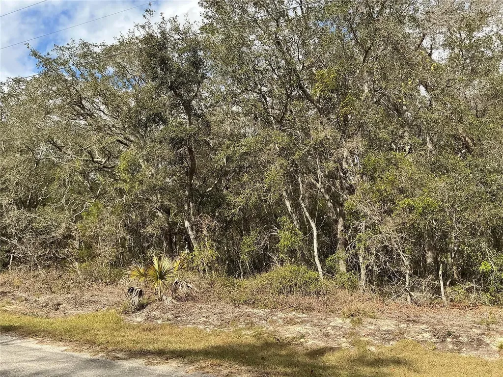 Lot 8 Fisher Trace Ocklawaha FL 32179