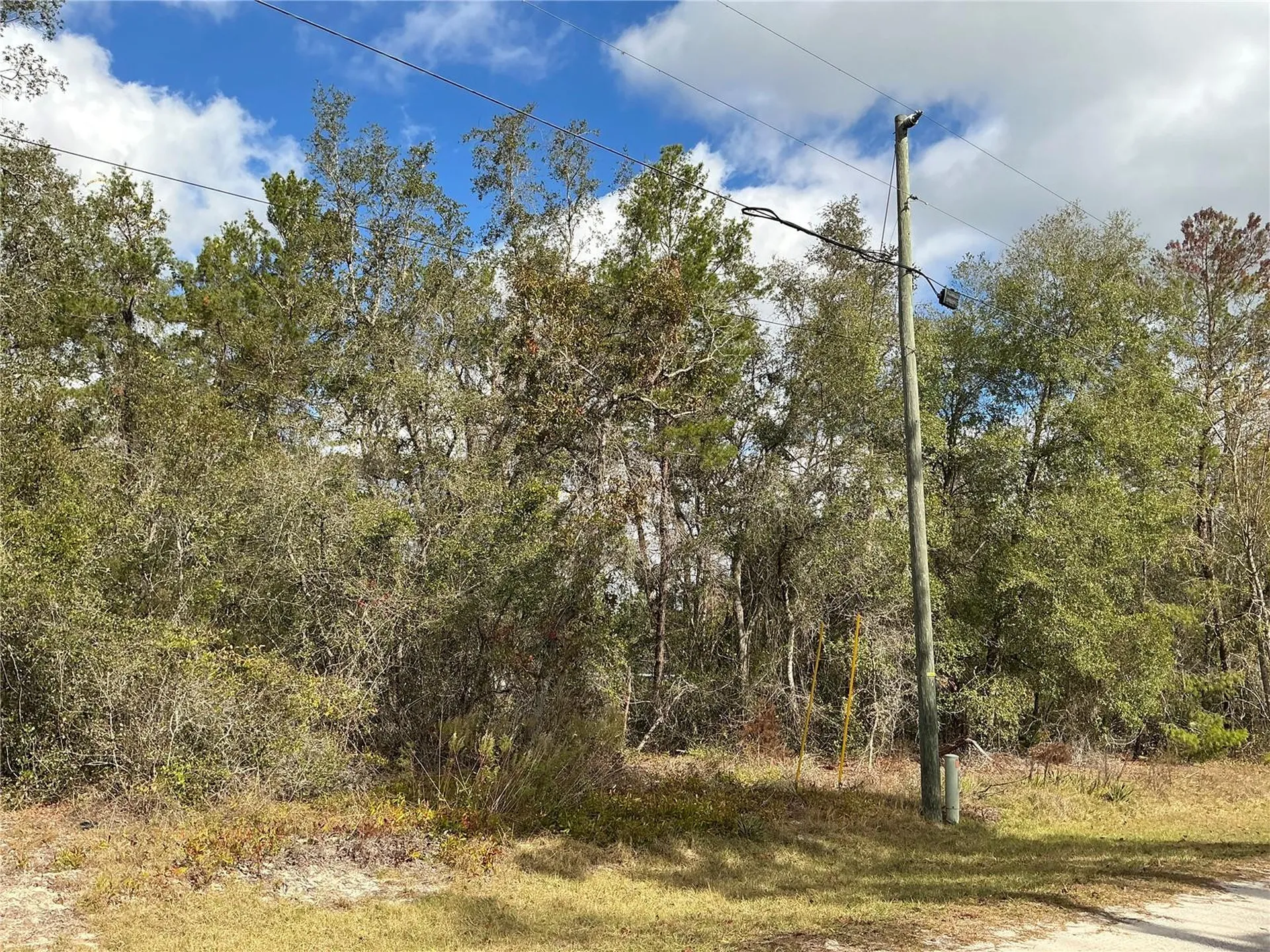 Lot 8 Fisher Trace Ocklawaha FL 32179