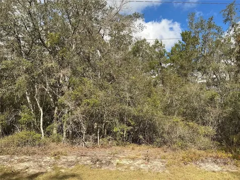 Lot 8 Fisher Trace Ocklawaha FL 32179
