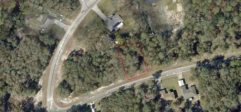 Lot 8 Fisher Trace Ocklawaha FL 32179
