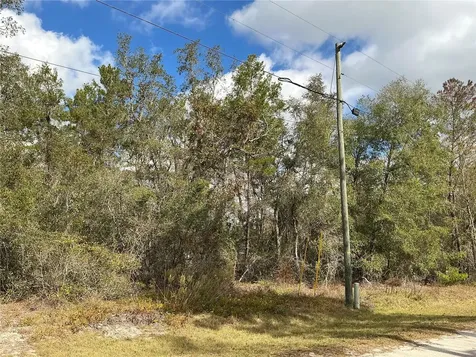 Lot 8 Fisher Trace Ocklawaha FL 32179