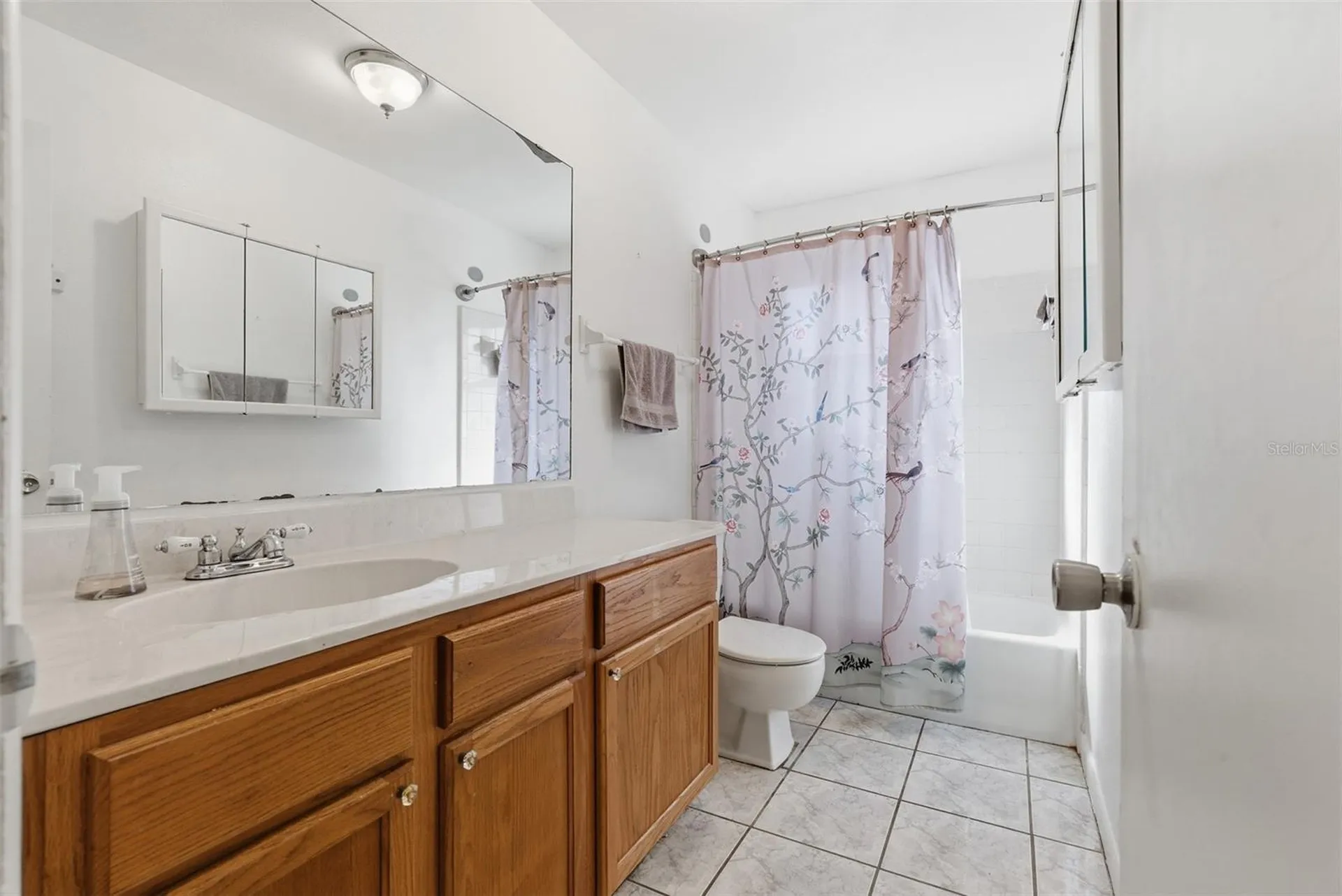 2019 W Jorome Drive Tampa FL 33612