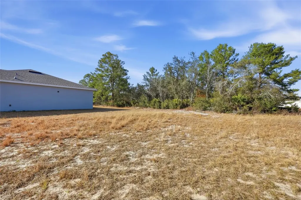 133 Violet Court Kissimmee FL 34759