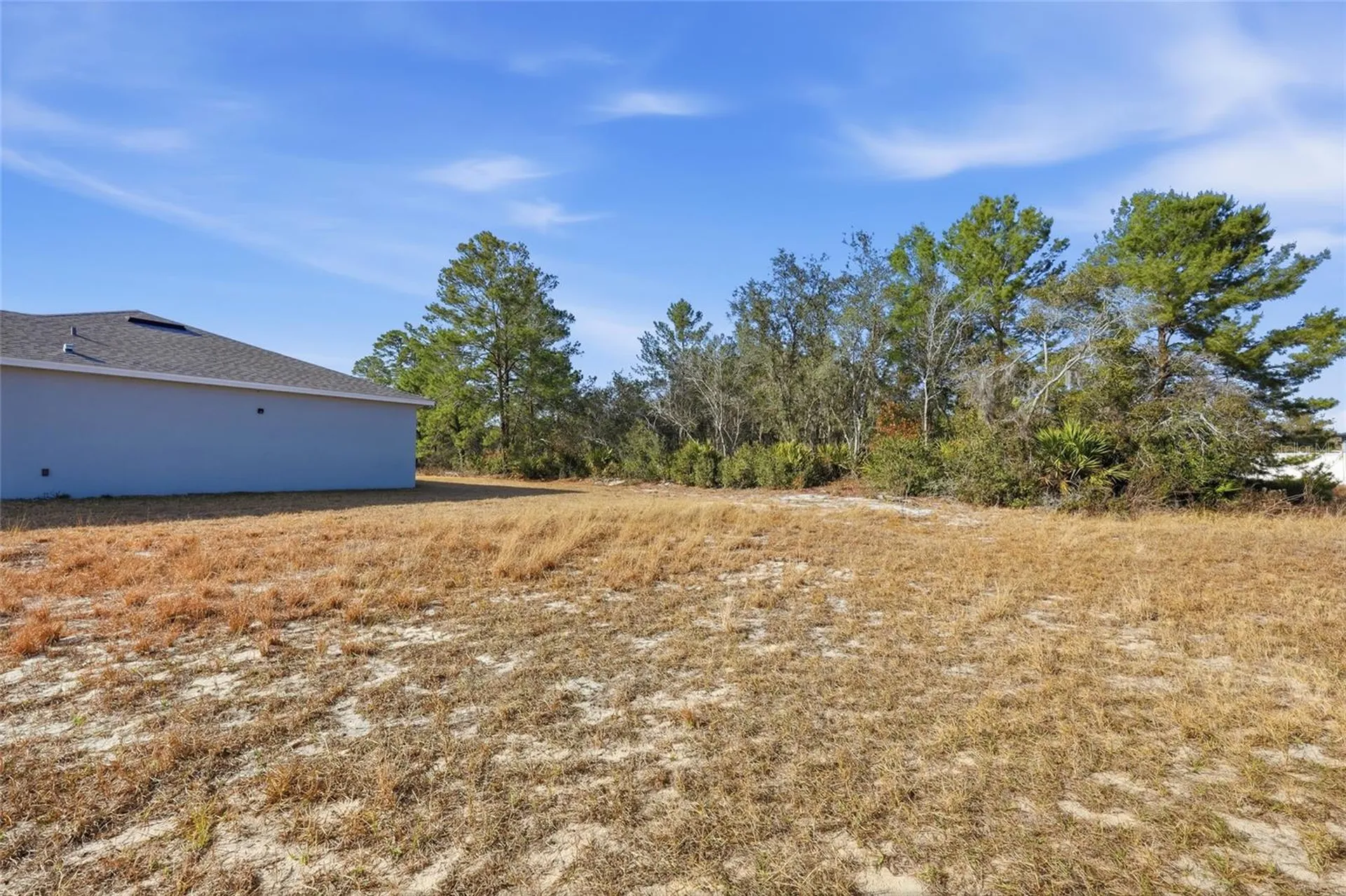 133 Violet Court Kissimmee FL 34759