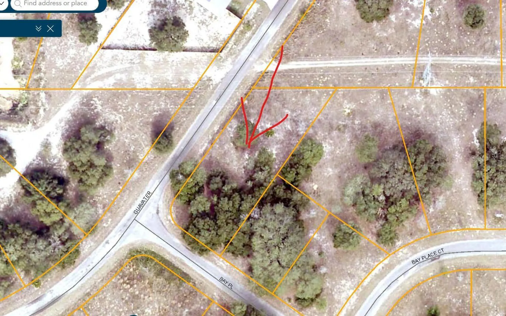 Lot 1 Guava Terrace Ocklawaha FL 32179
