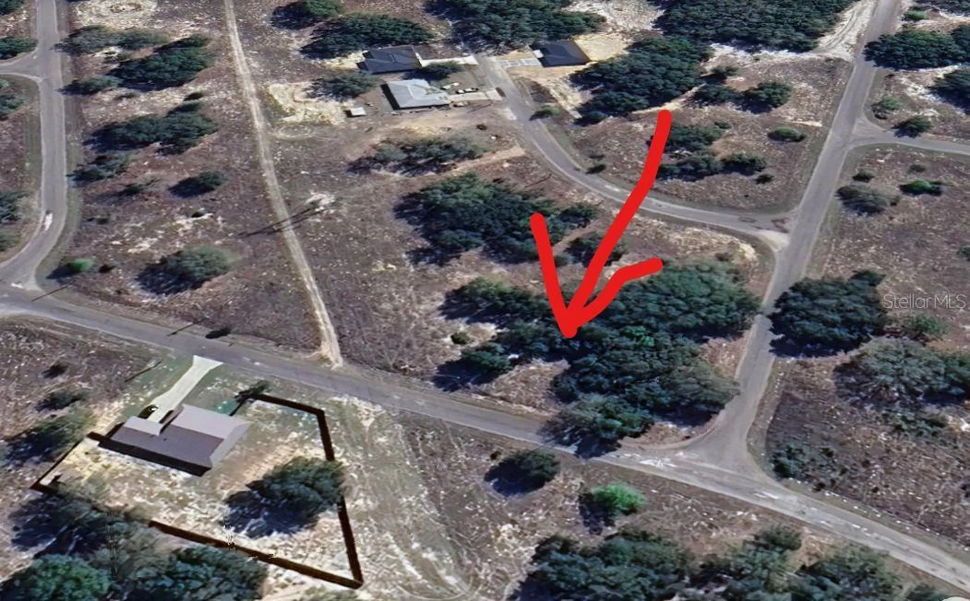 Lot 1 Guava Terrace Ocklawaha FL 32179