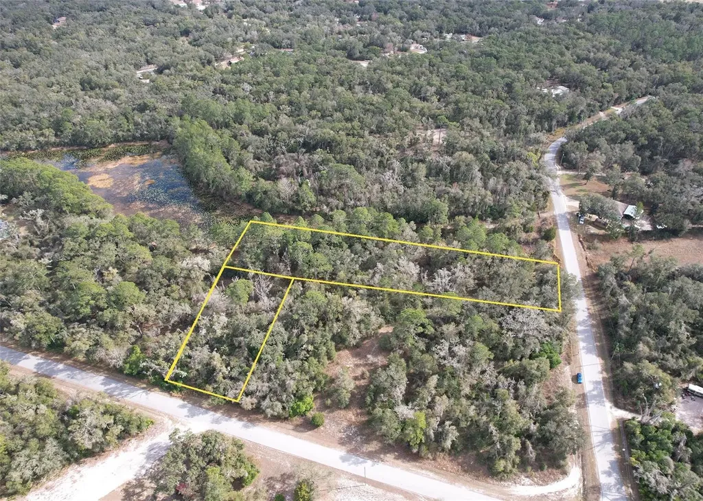 Lewis Lane Webster FL 33597