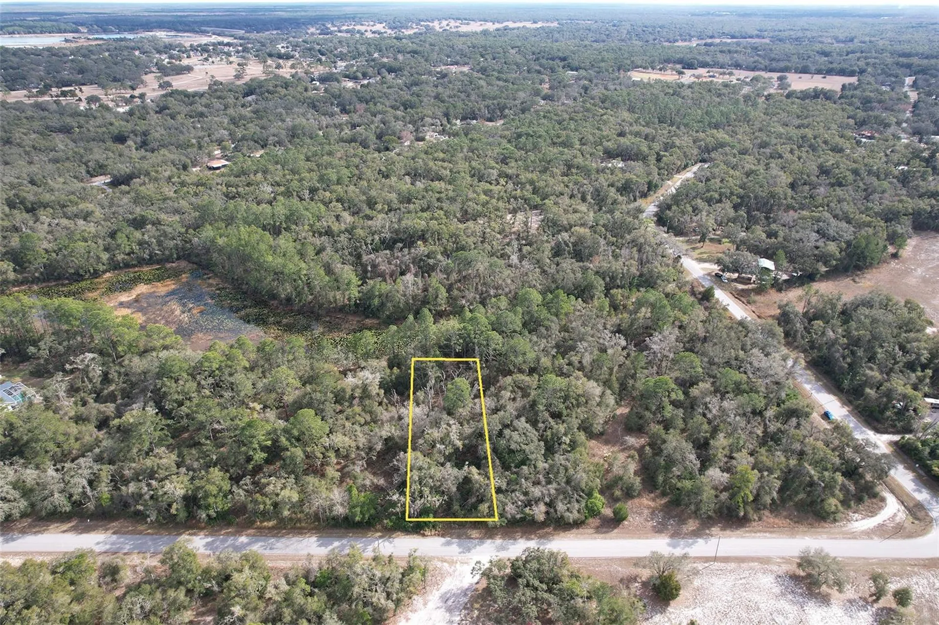 Lewis Lane Webster FL 33597