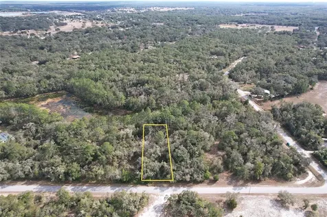 Lewis Lane Webster FL 33597