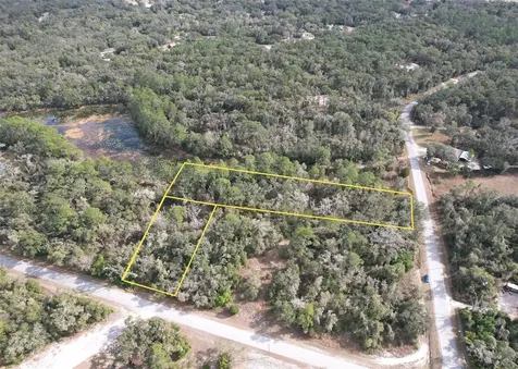 Lewis Lane Webster FL 33597