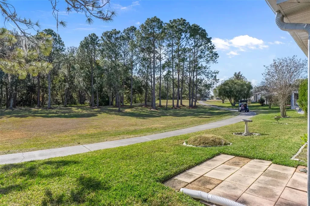 29314 Princeville Drive San Antonio FL 33576