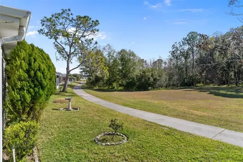 29314 Princeville Drive San Antonio FL 33576