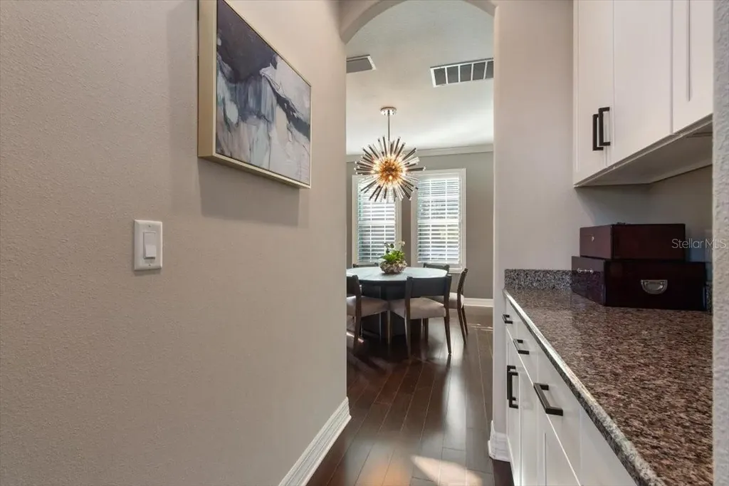 14909 Smitter Reserve Drive Tampa FL 33618