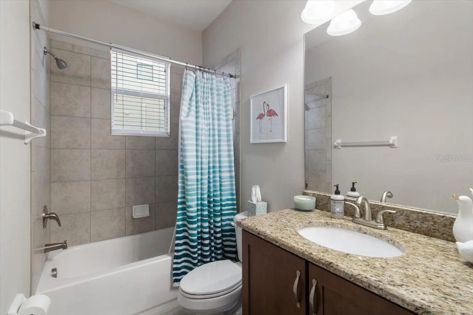 14909 Smitter Reserve Drive Tampa FL 33618