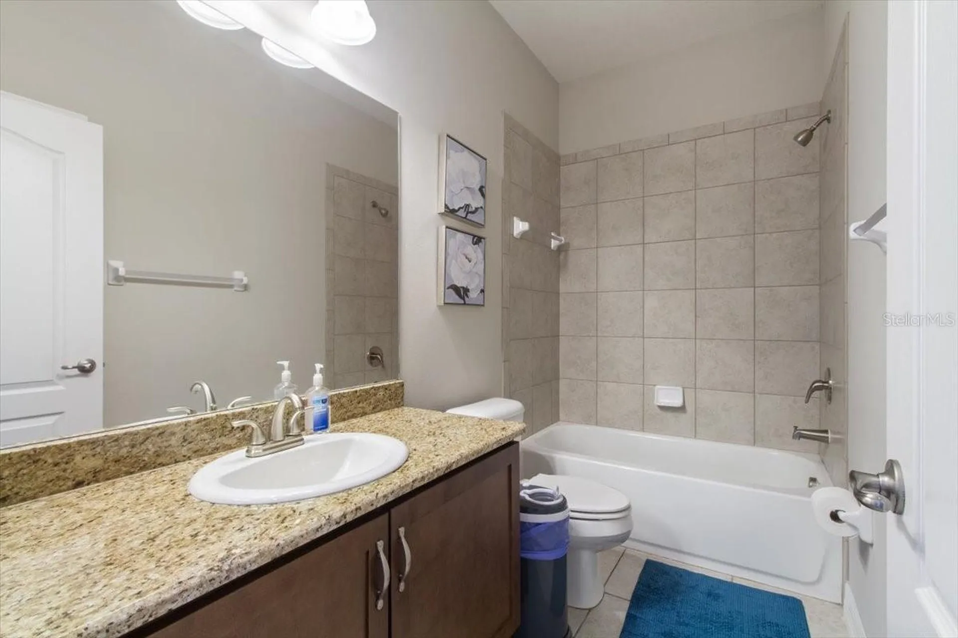 14909 Smitter Reserve Drive Tampa FL 33618