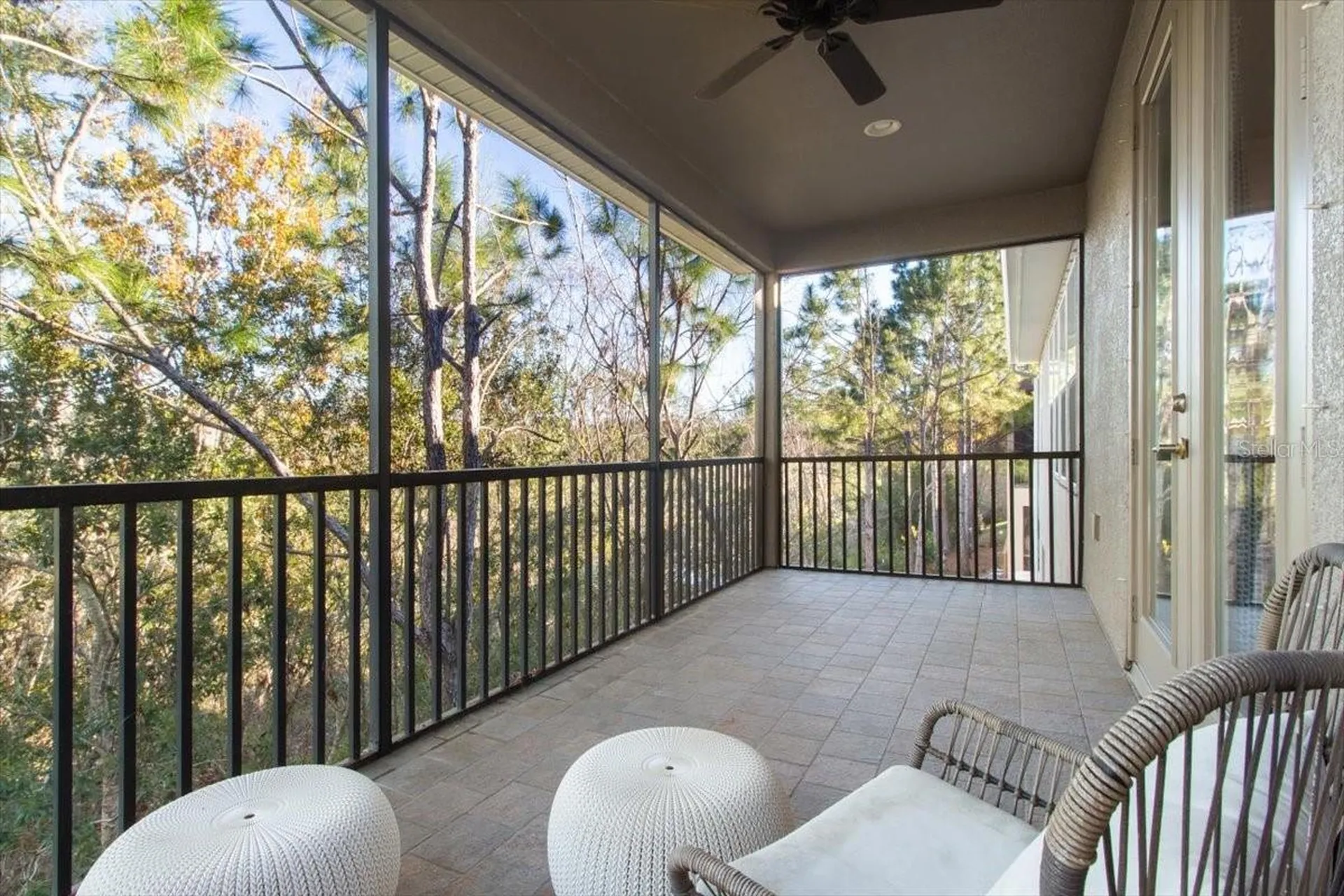 14909 Smitter Reserve Drive Tampa FL 33618