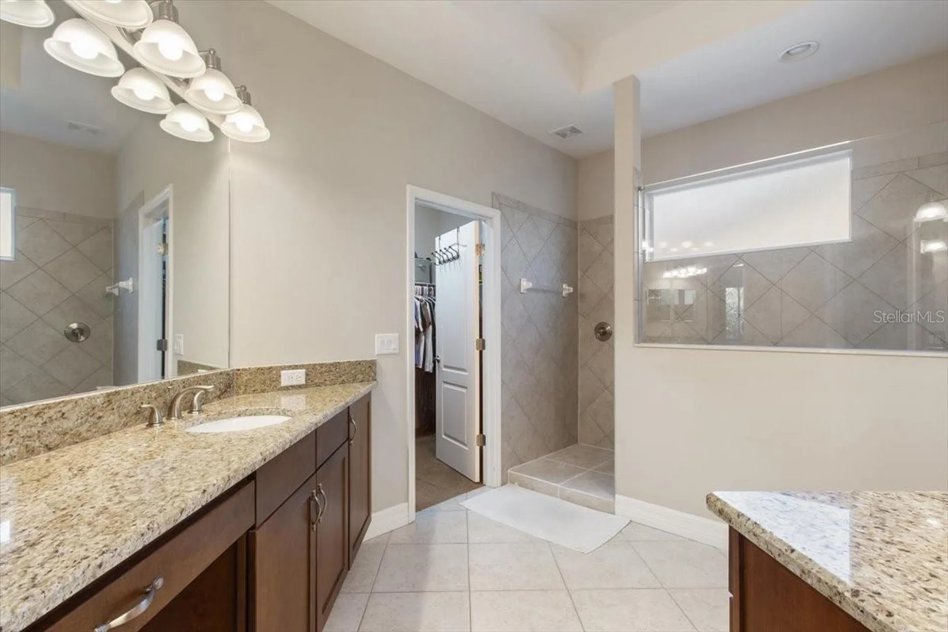 14909 Smitter Reserve Drive Tampa FL 33618