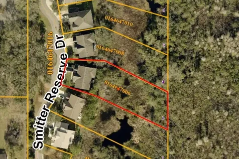 14909 Smitter Reserve Drive Tampa FL 33618