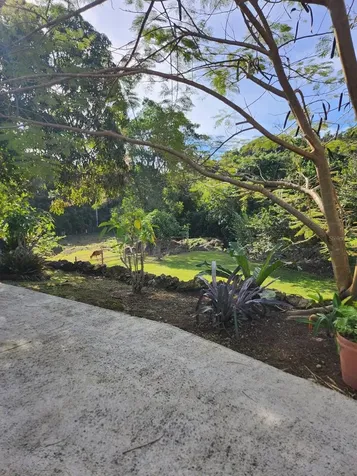 0 Pr 453 Int Lares PR 00669