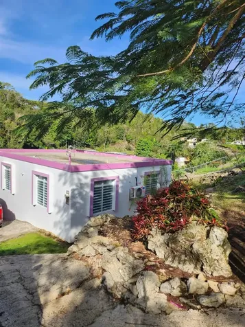 0 Pr 453 Int Lares PR 00669