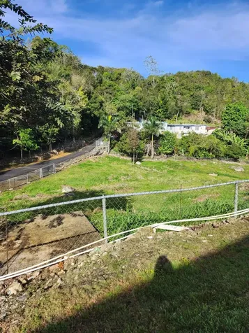 0 Pr 453 Int Lares PR 00669
