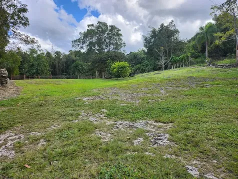 0 Pr 453 Int Lares PR 00669