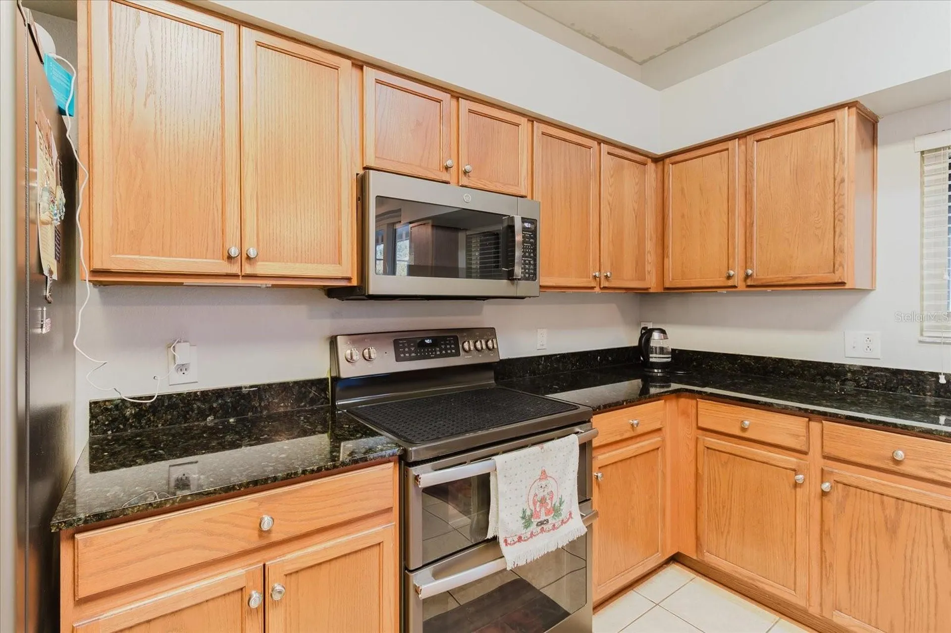 2717 Avon River Drive Valrico FL 33596