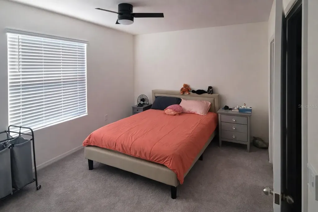 33066 Tulip Petal Lane Wesley Chapel FL 33545